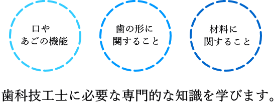 歯科技工士に必要な専門的な知識を学びます。口やあごの機能、歯の形に関すること、材料に関すること