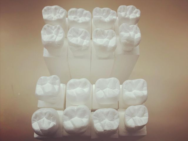 歯科技工士科の前期試験が終わりました！
#宮崎歯科技術専門学校#歯科衛生士#歯科技工士#シカセン#テスト#彫刻